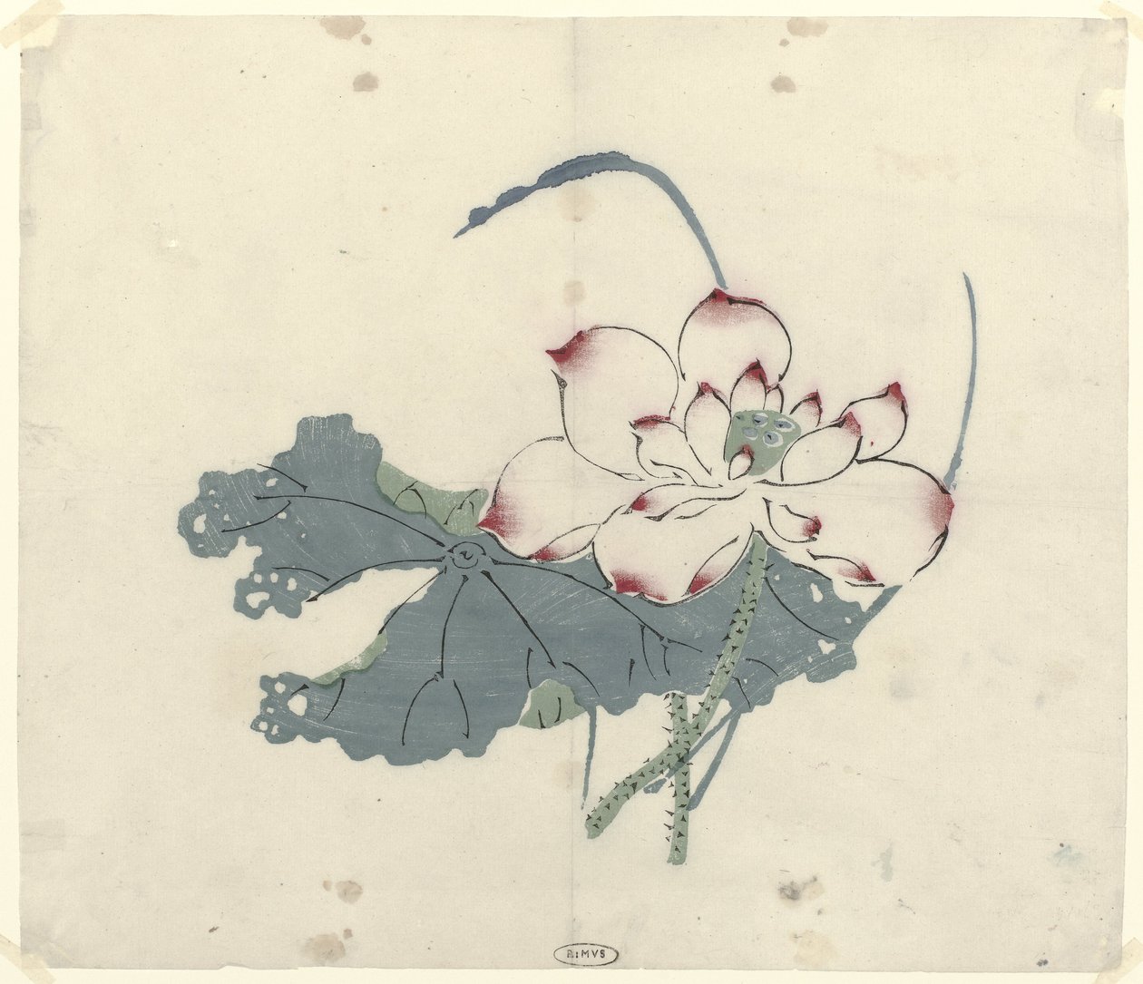 Lotus von Anonymous
