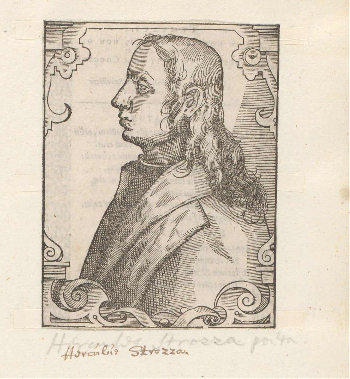 Porträt von Ercole Strozzi von Anonymous