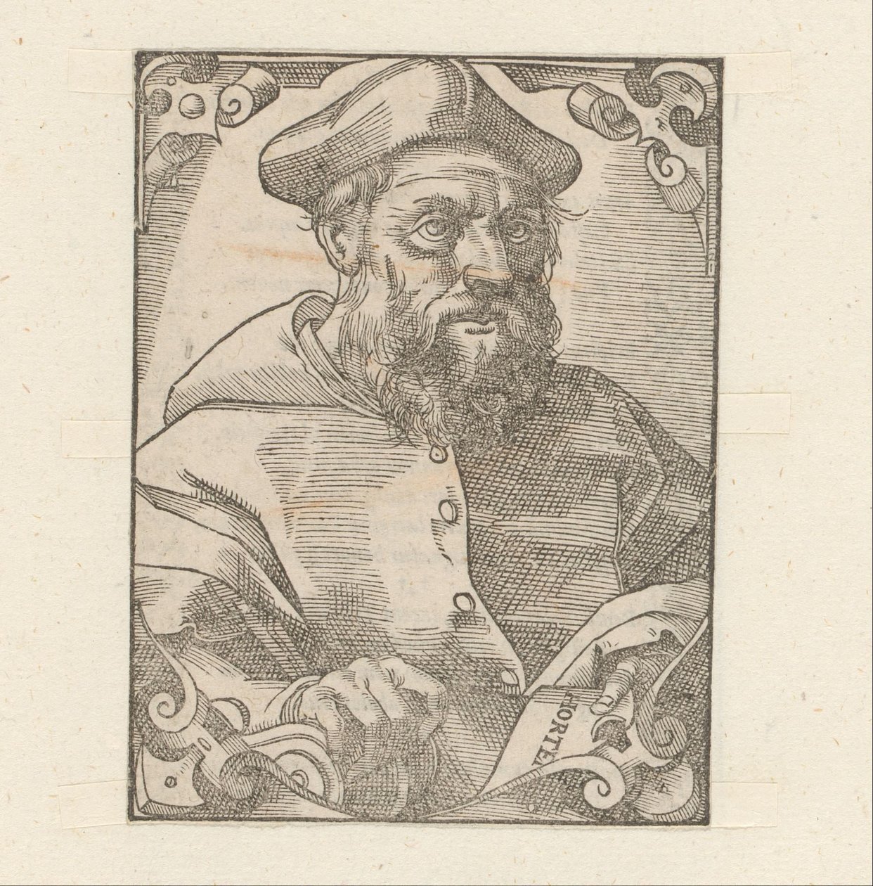 Porträt von Jacopo Sadoleto von Anonymous
