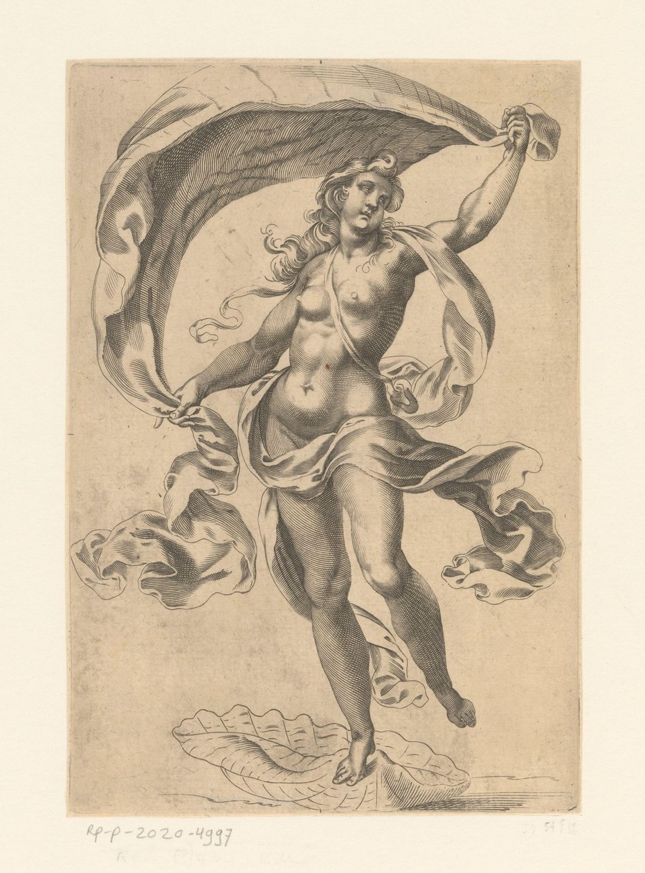 Venus Marina von Anonymous