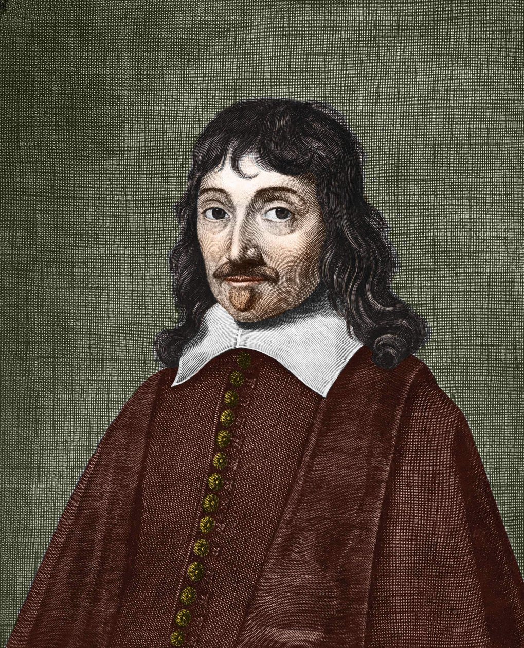 Porträt von René Descartes (1596-1650). von Anonymous Anonymous