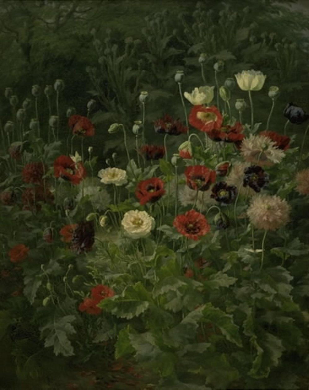 Mohnblumen von Anthonie Christensen