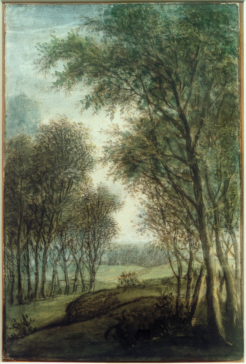 Waldrand von Anthonie Waterloo