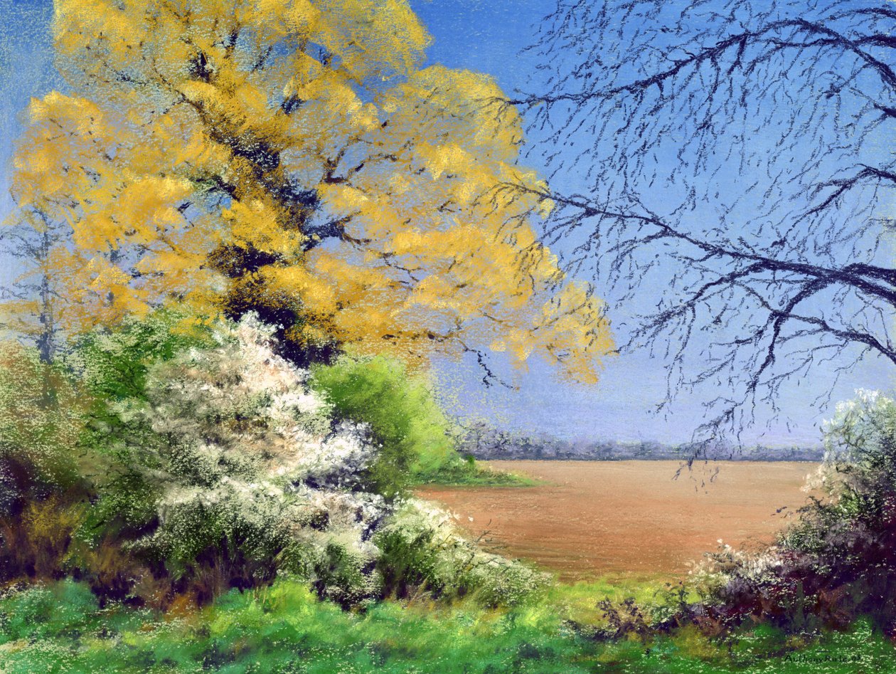 Schlehenwinter, 2003 von Anthony Rule