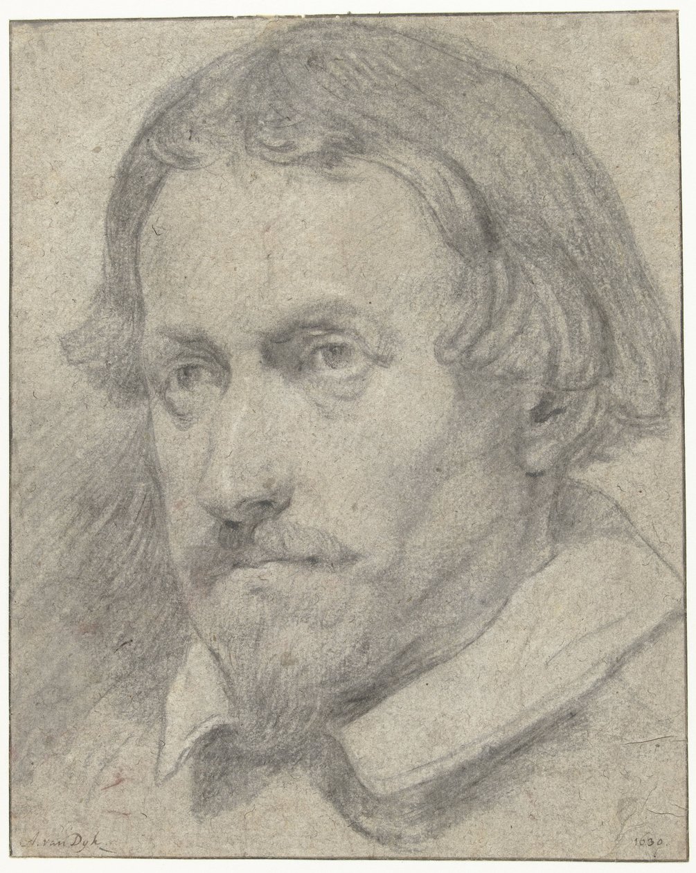 Männerkopf von Anthony van Dyck (possibly)