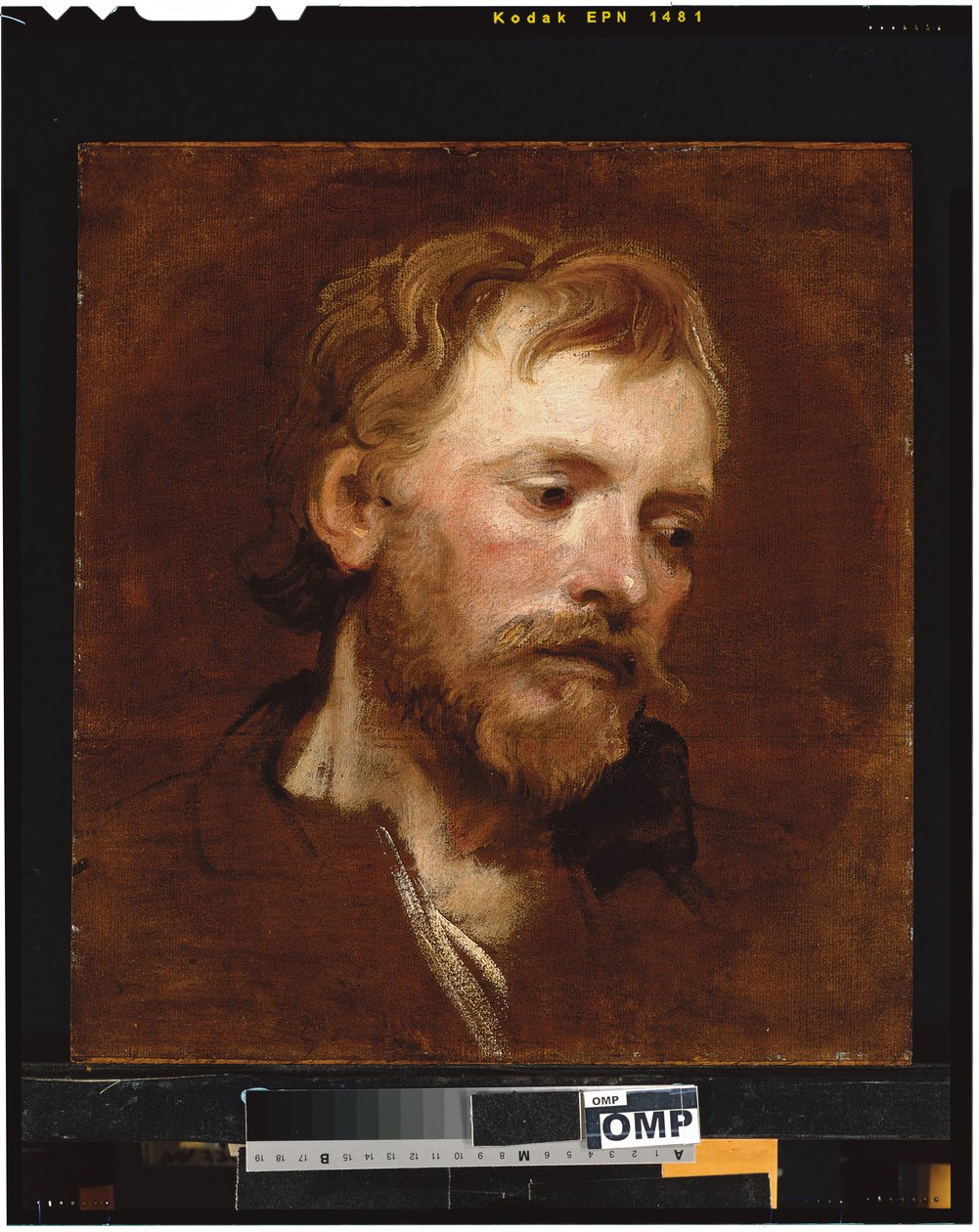Ein bärtiger Mann, eine Studie von Anthony van Dyck