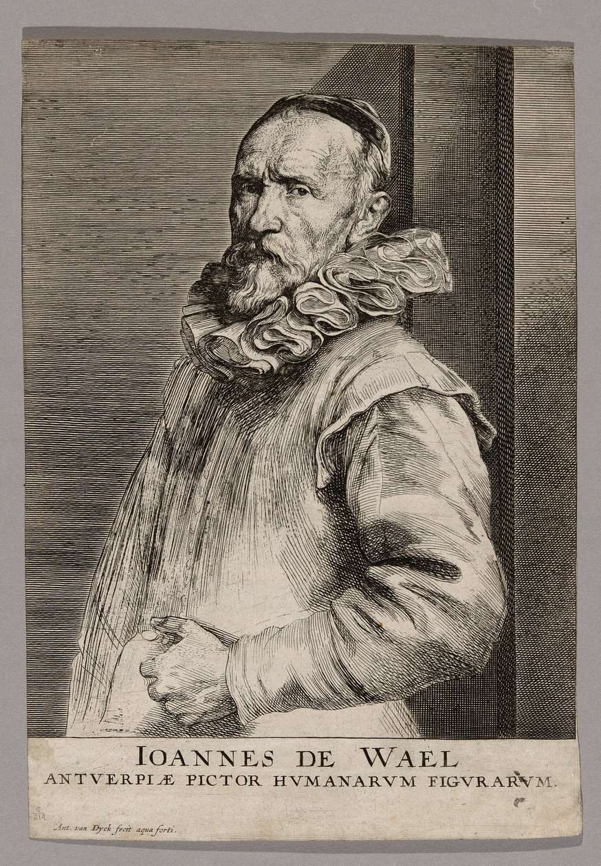 Jan de Wael von Anthony van Dyck