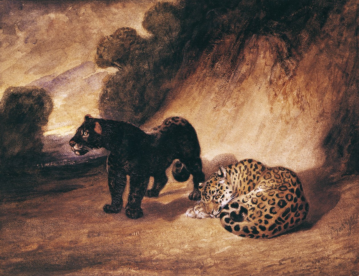 Zwei Jaguare aus Peru von Antoine Louis Barye