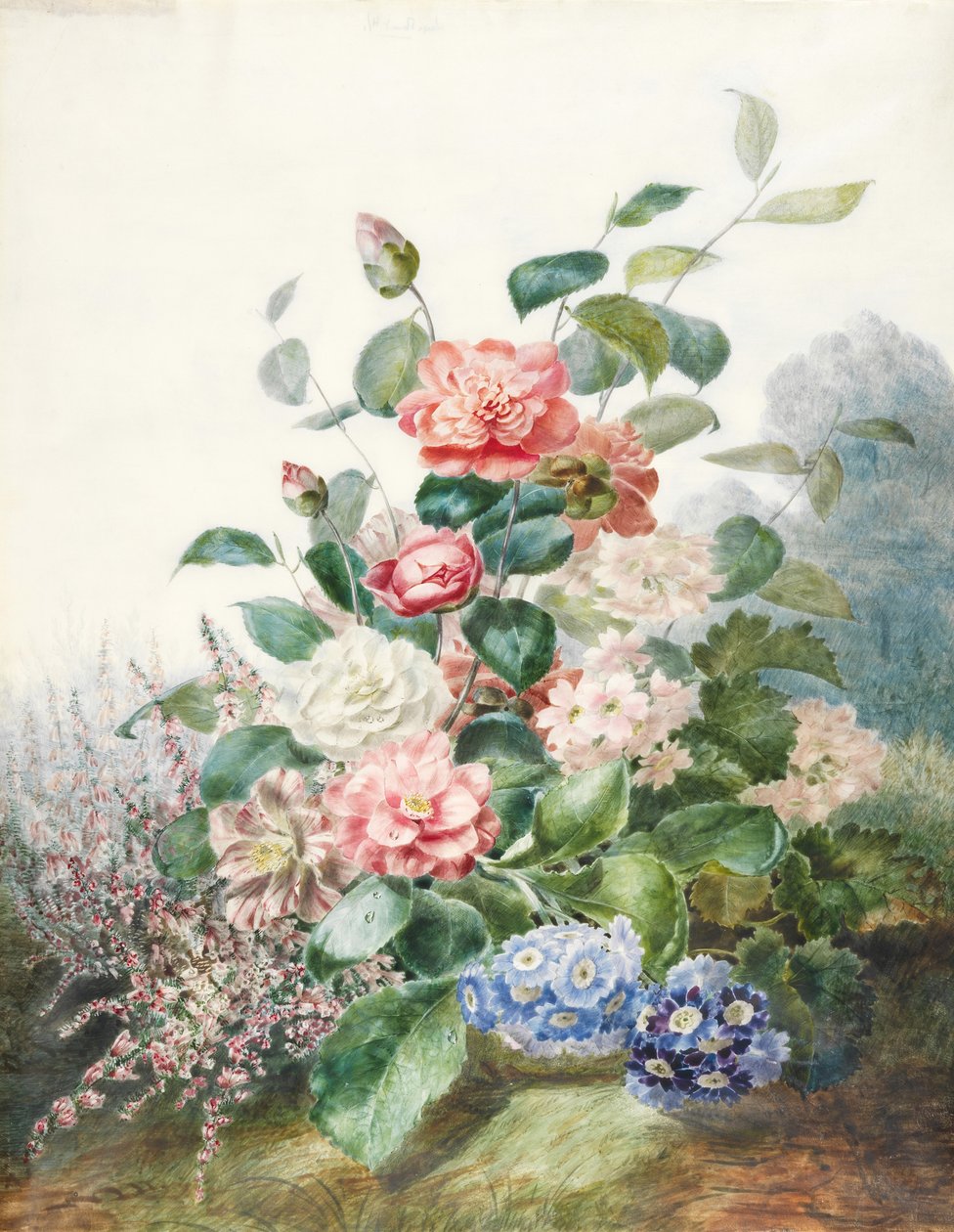 Verschiedene Blumen in einer Landschaft (Aquarell auf Pergament) von Antoine Pascal