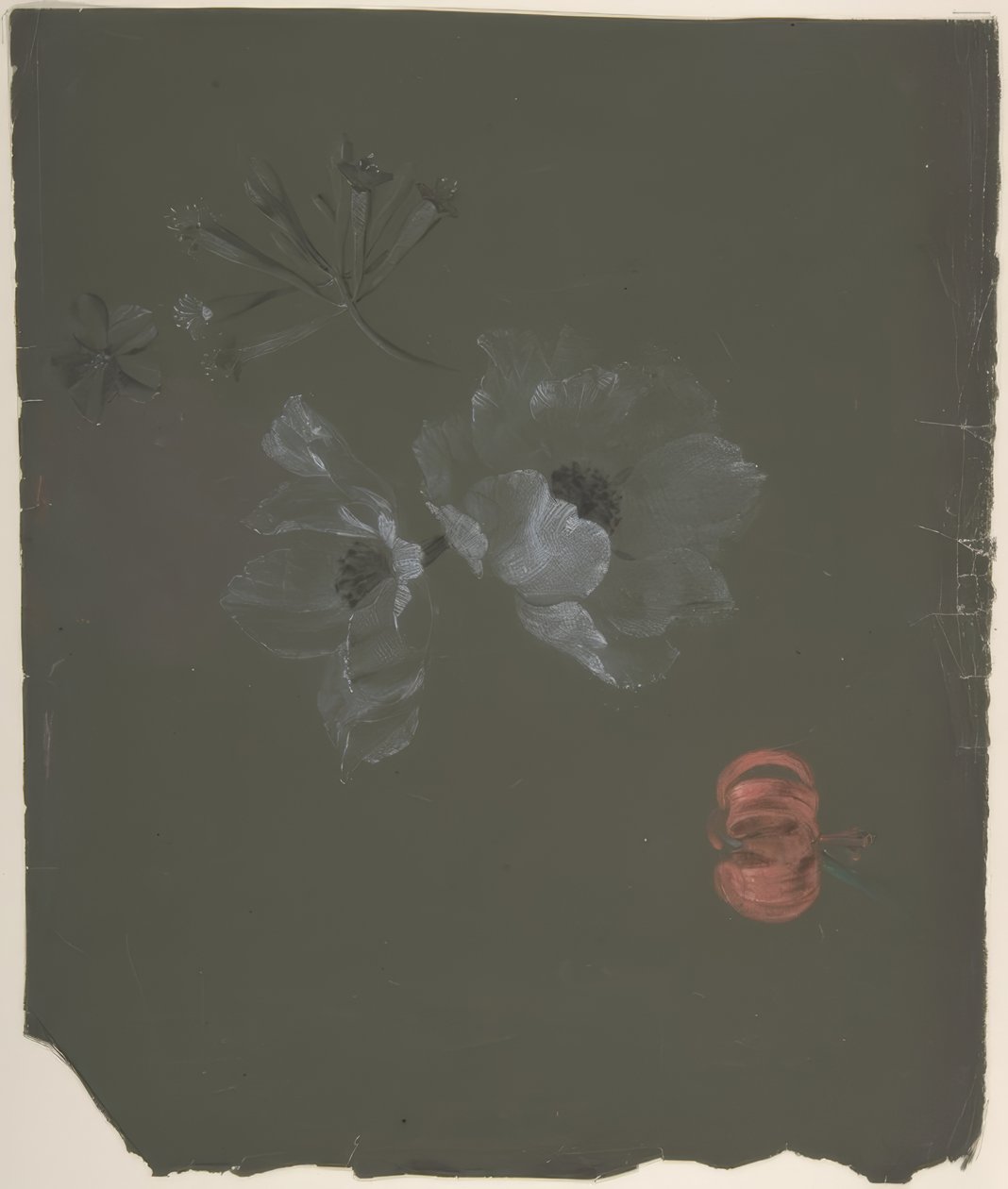 Floral Design von Antoine Berjon