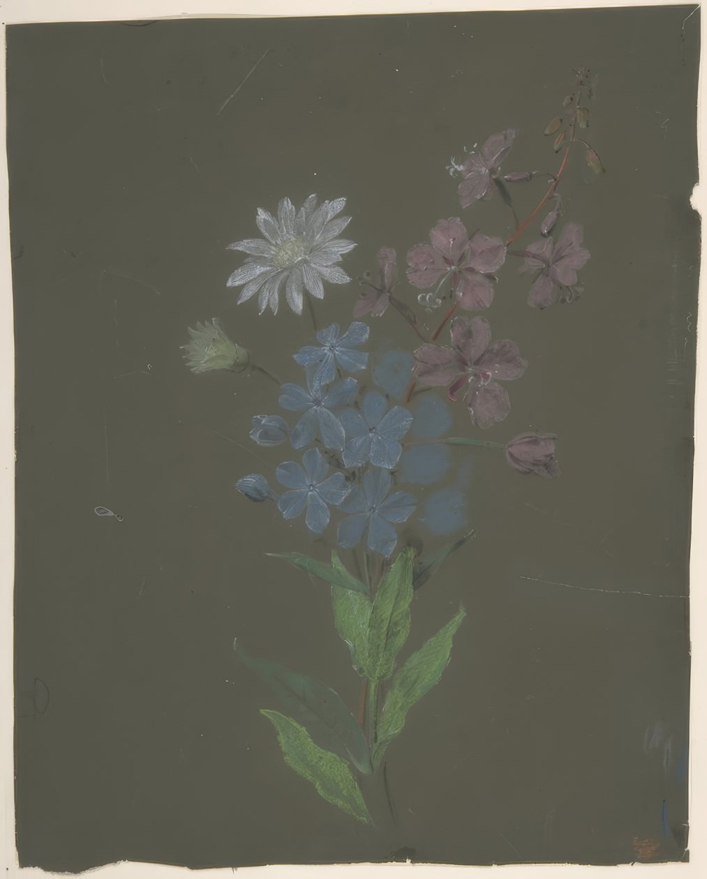 Florales Design von Antoine Berjon