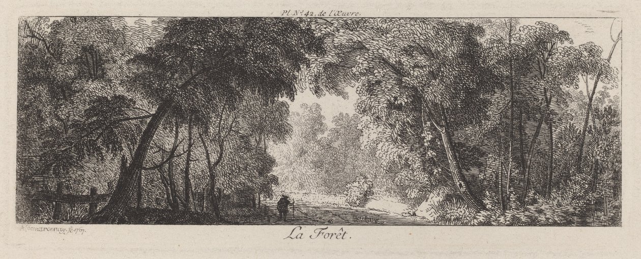 Der Wald von Antoine de Marcenay de Ghuy