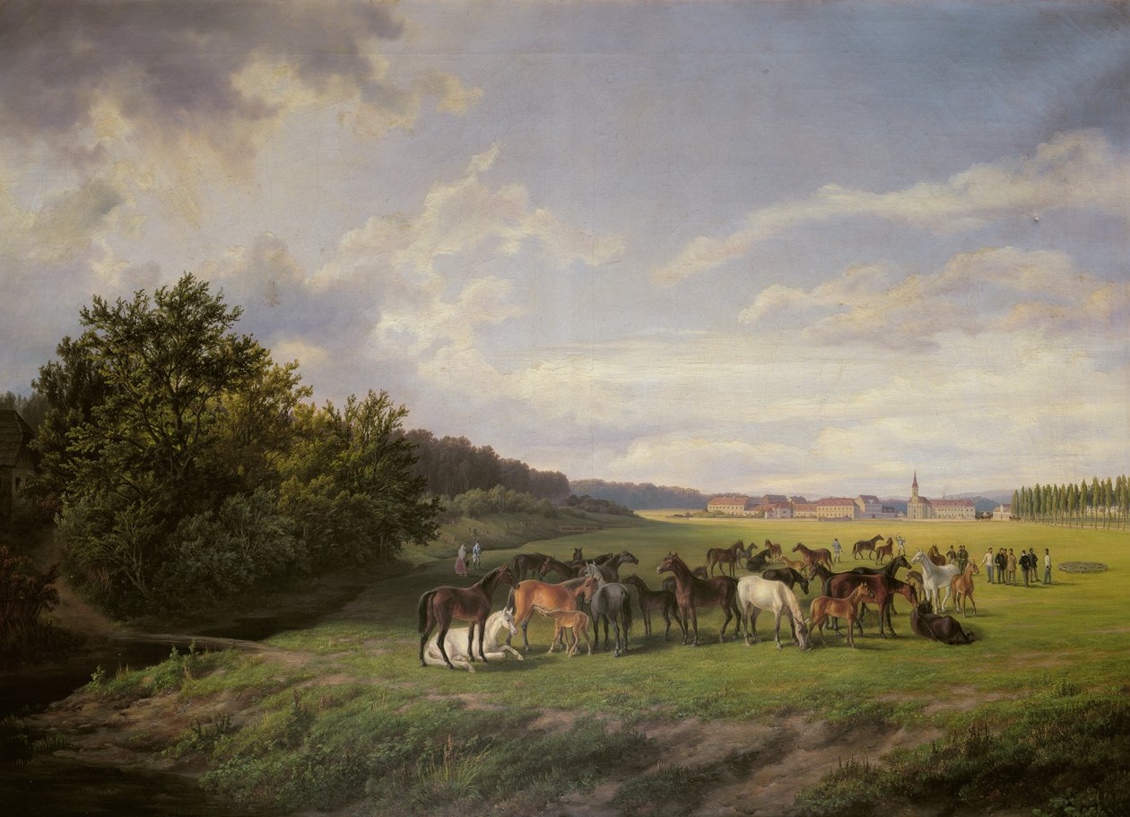 Ansicht des Kladruber Gestüts in Böhmen, 1850 von Anton Schiffer