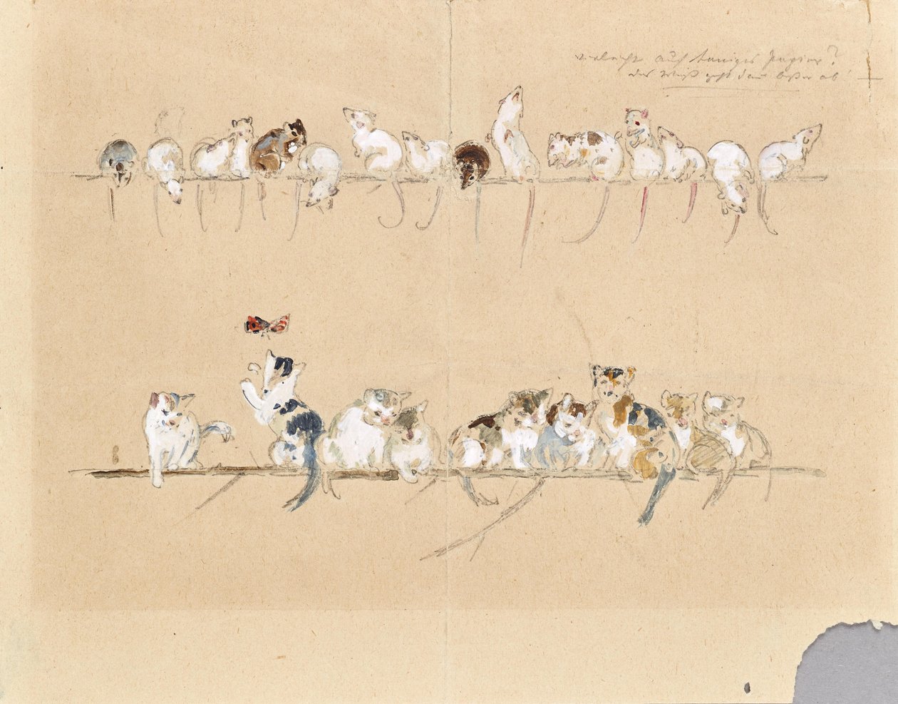Mäuschen und Katzen von Anton Hartinger