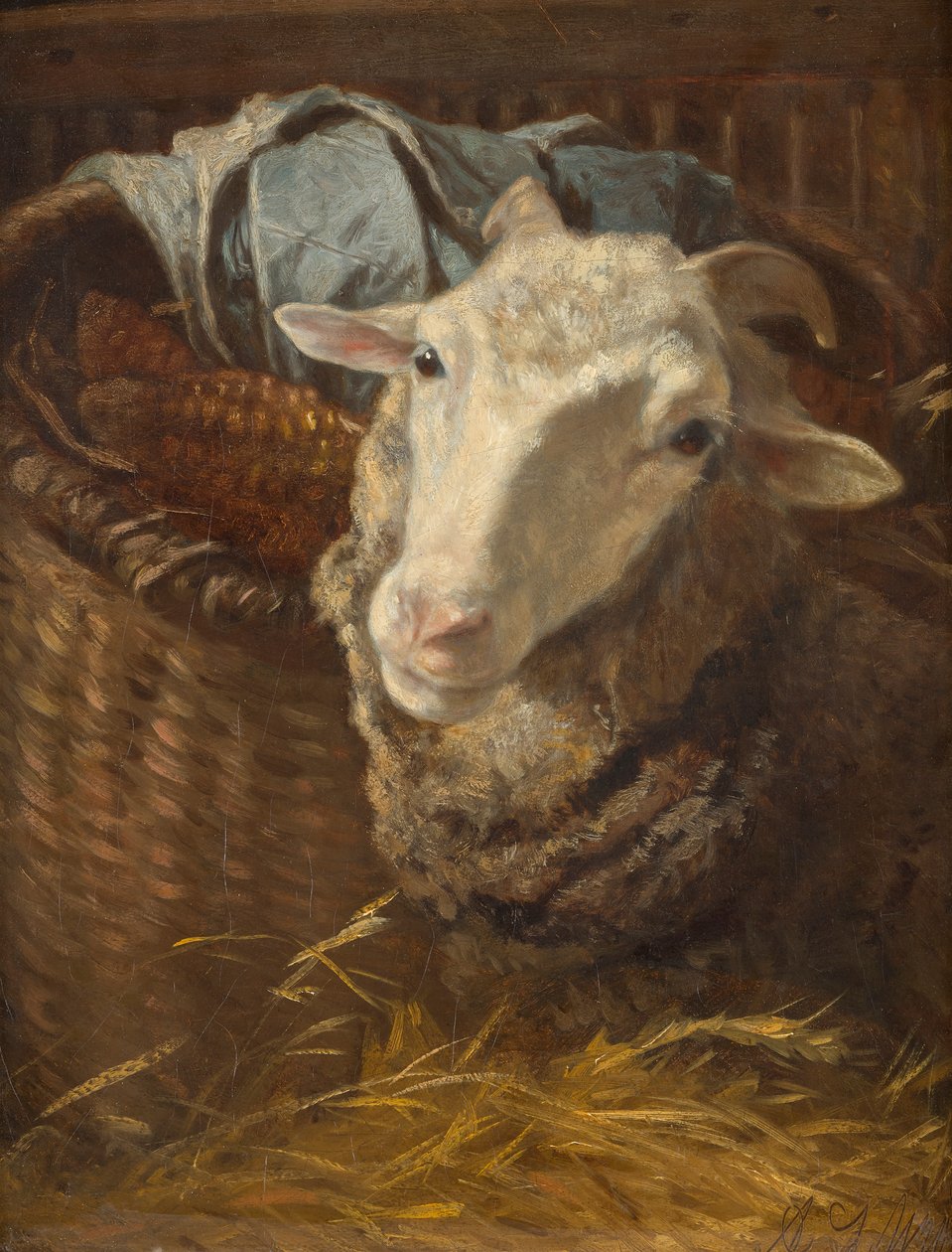 Ein Schaf von Anton Schrodl