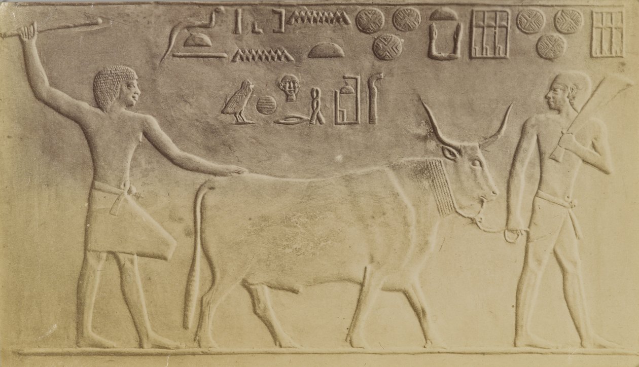 Heiliger Stier in Saqqara von Antonio Beato