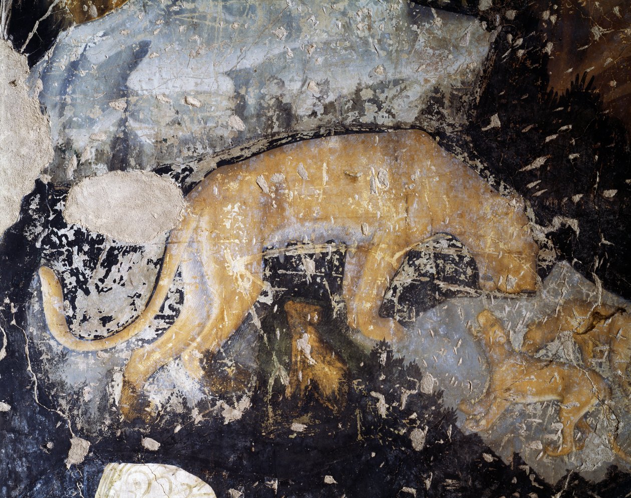 Hund (Detail) von Antonio Pisanello