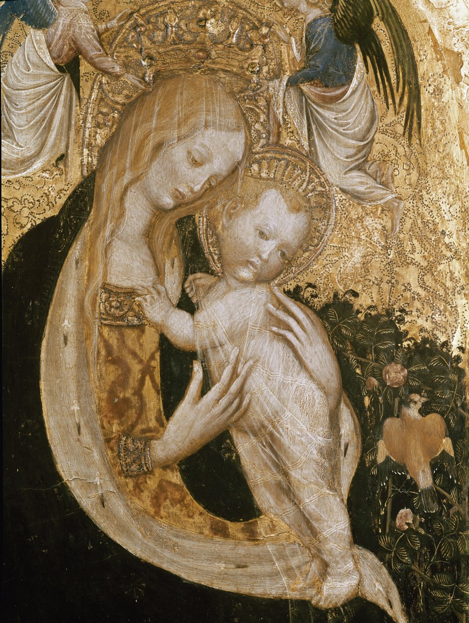 Jungfrau mit Wachtel von Antonio Pisanello