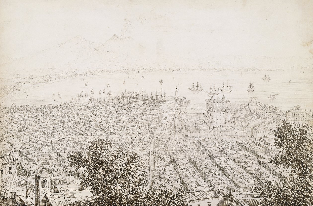Ein Panoramablick auf Neapel von Antonio Senape