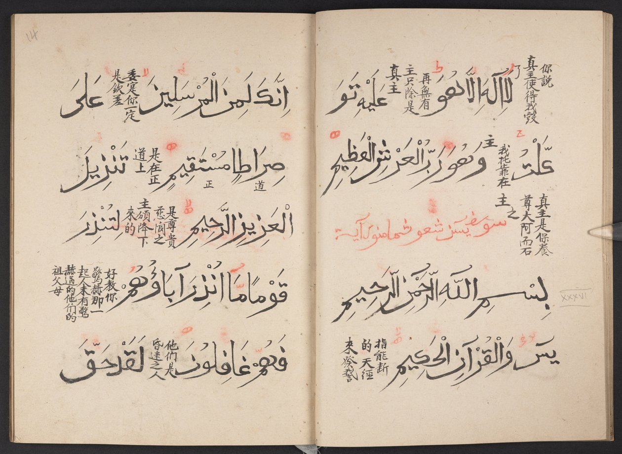 Koran, BL IO Islamisch 3440, f.13v-14r von Arabic School