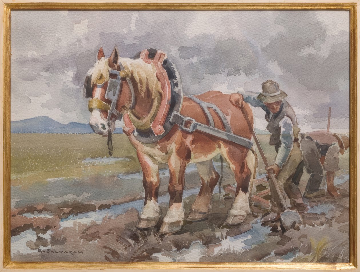 Arbeit auf den Feldern von Arcangelo Salvarani