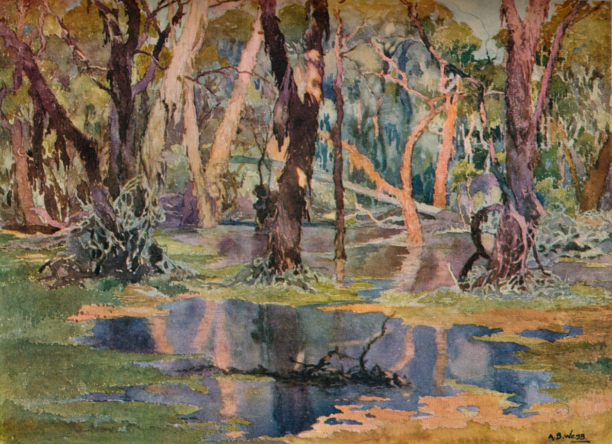 Quindanning Pool, ca. 1927 von Archibald Bertram Webb