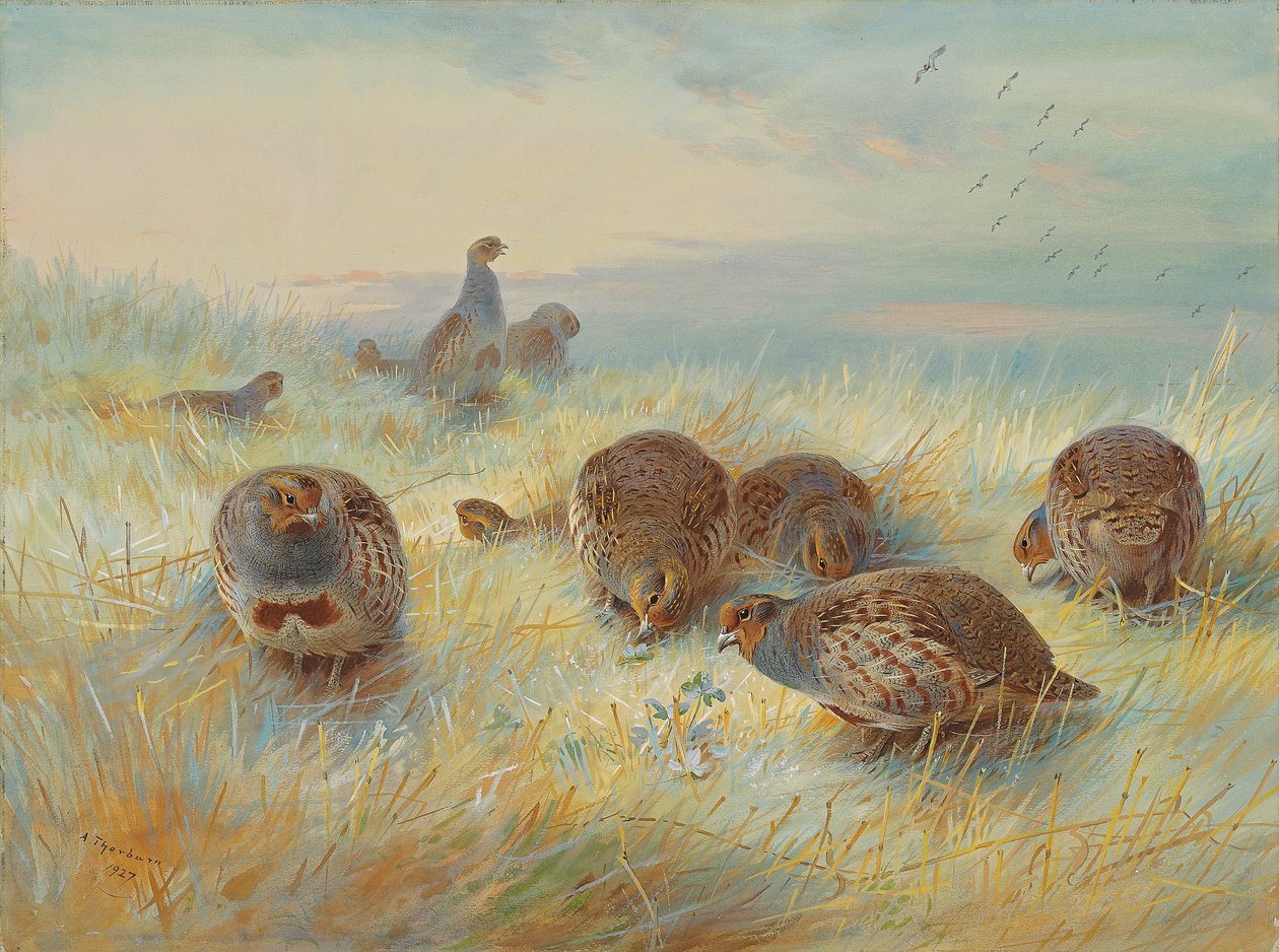 Ein frostiger Morgen von Archibald Thorburn