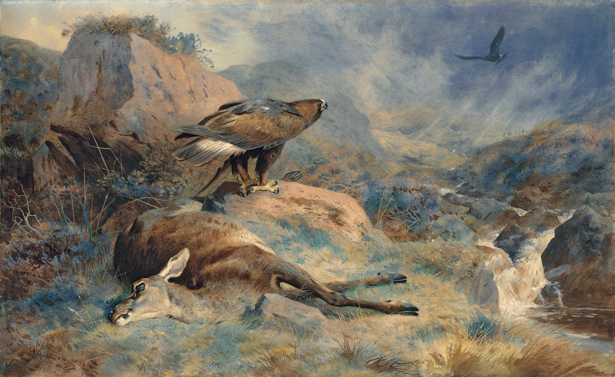 Das verlorene Hind von Archibald Thorburn