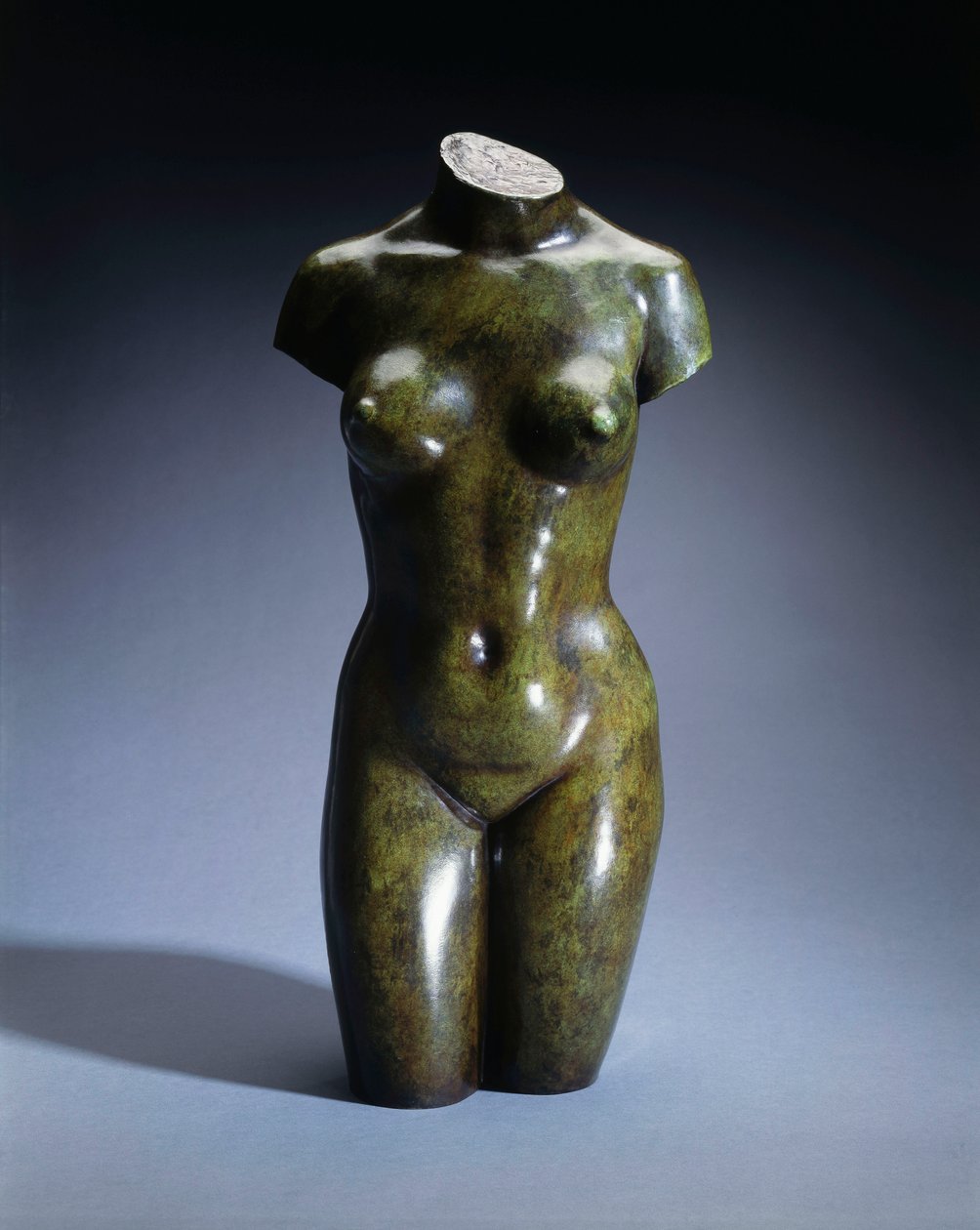 Torso einer jungen Frau von Aristide Maillol