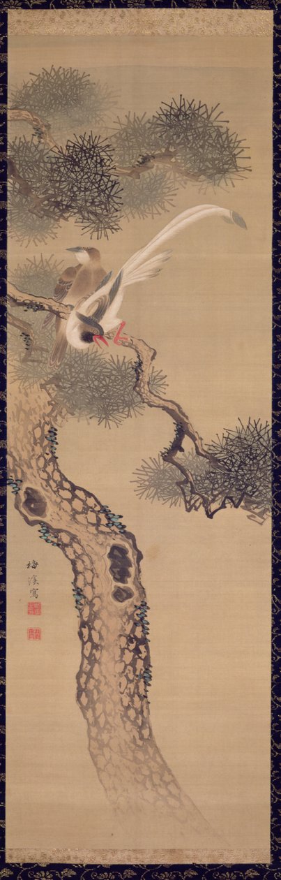 Langschwänzige Vögel im Kiefernbaum, ca. 1800 von Ariwara Baikei