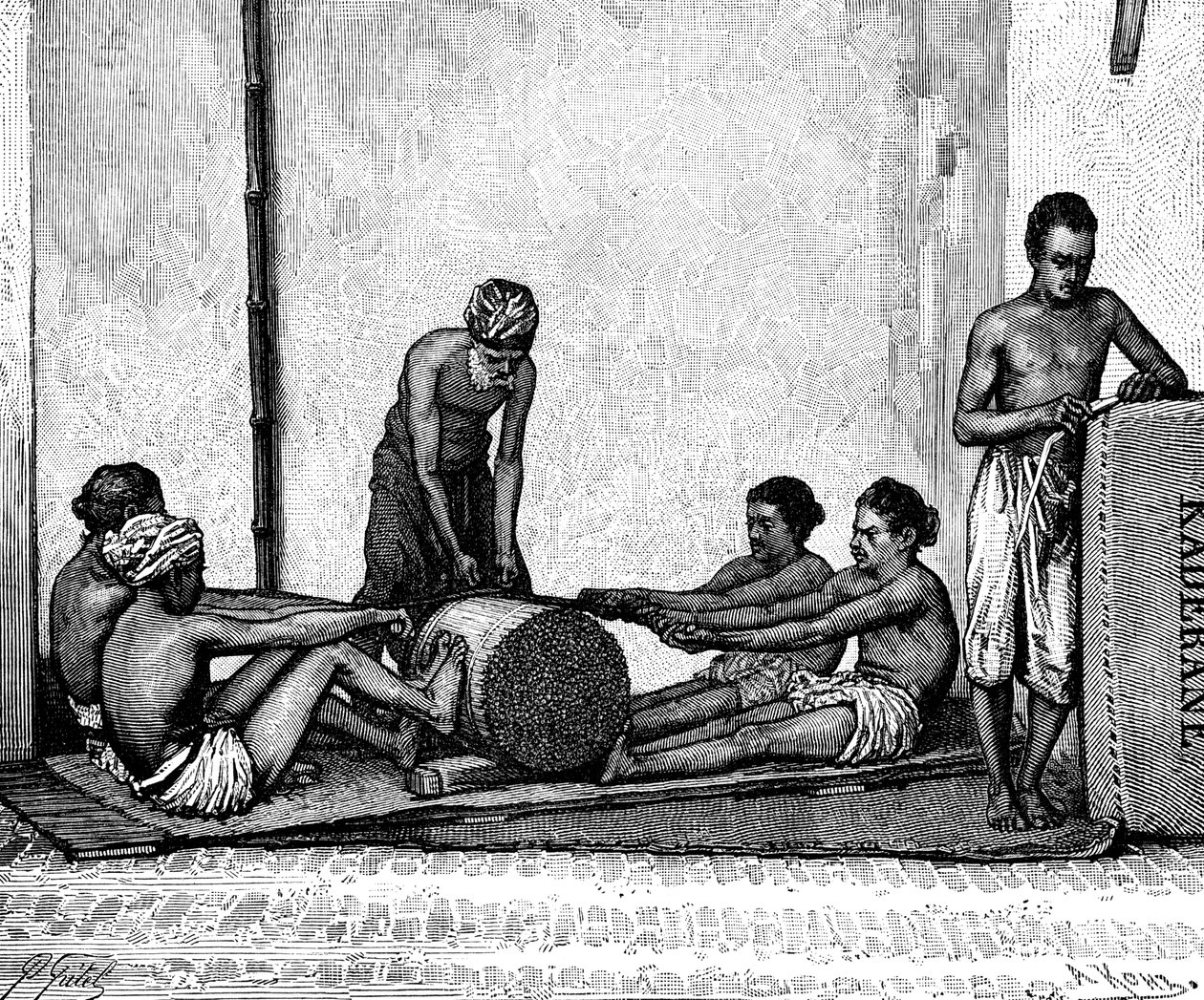 Zimtpflückung, Indien, 1895 von Armand Kohl