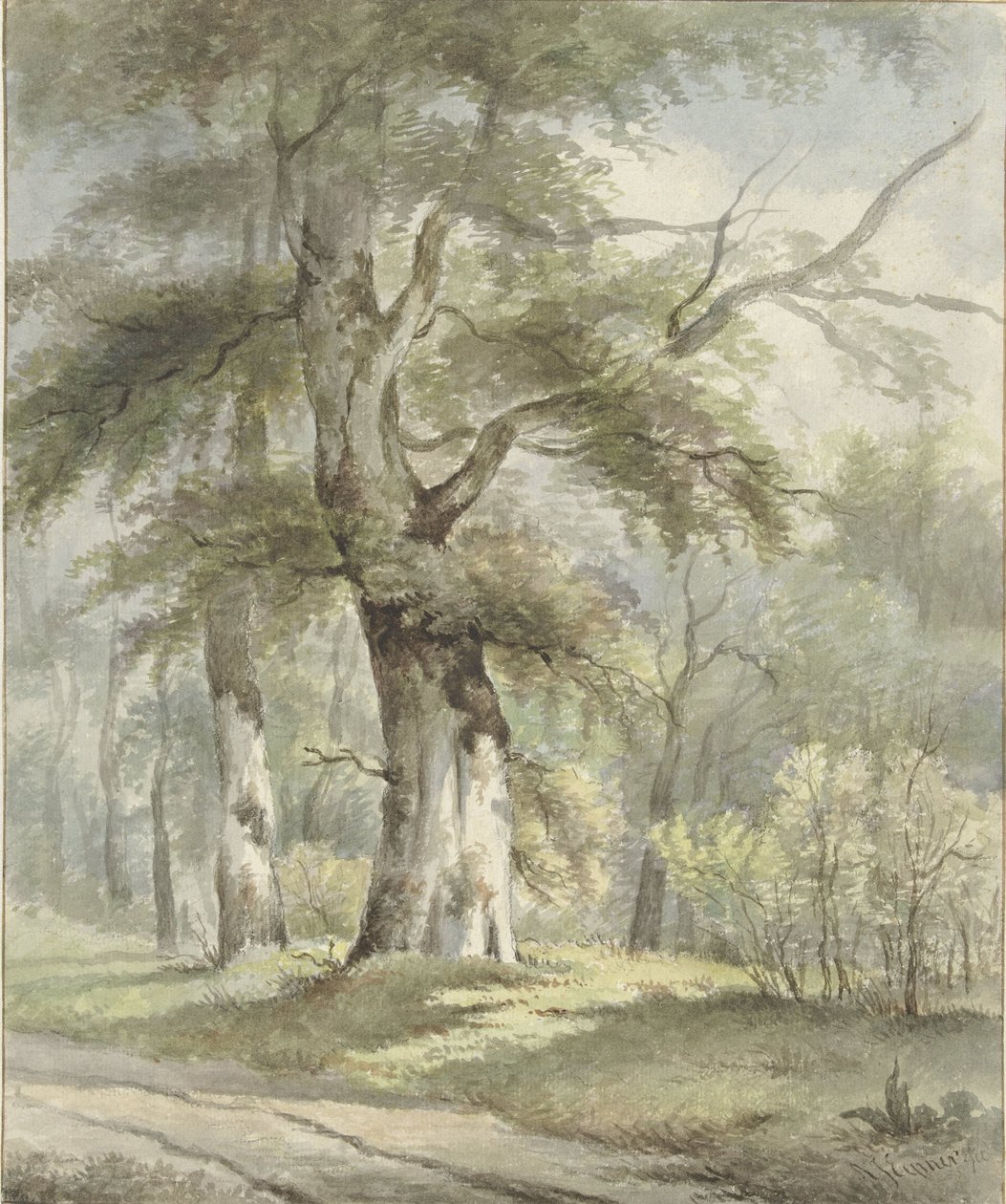 Waldansicht von Arnoldus Johannes Eymer
