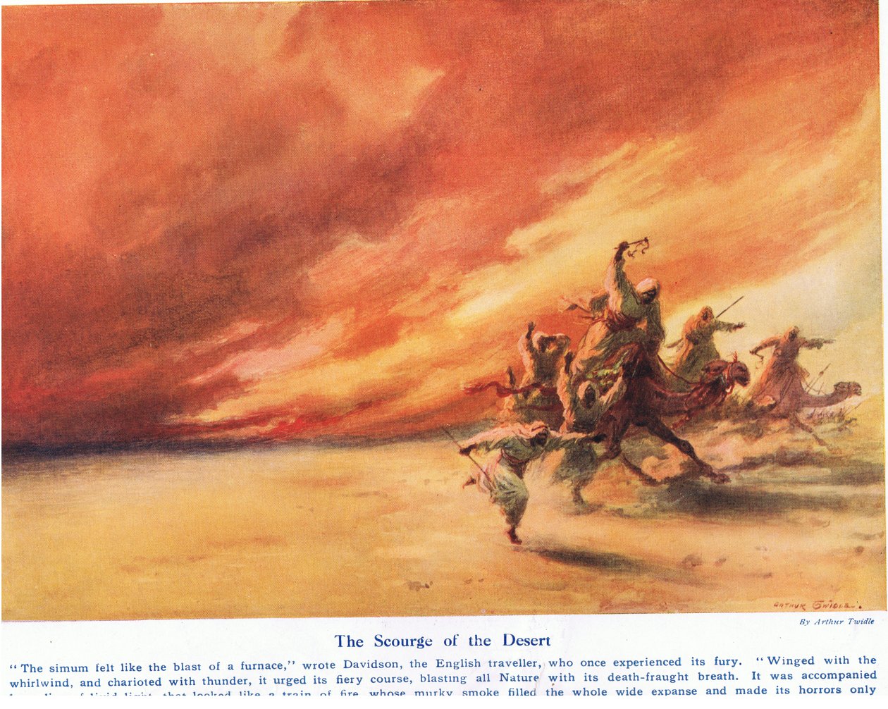 Die Geißel der Wüste, Illustration aus 