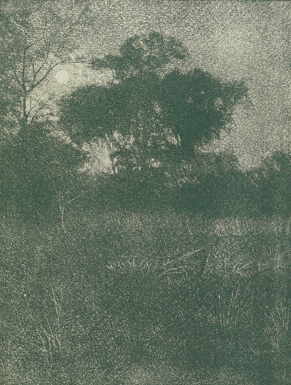 Mondlicht von Arthur E. Becher