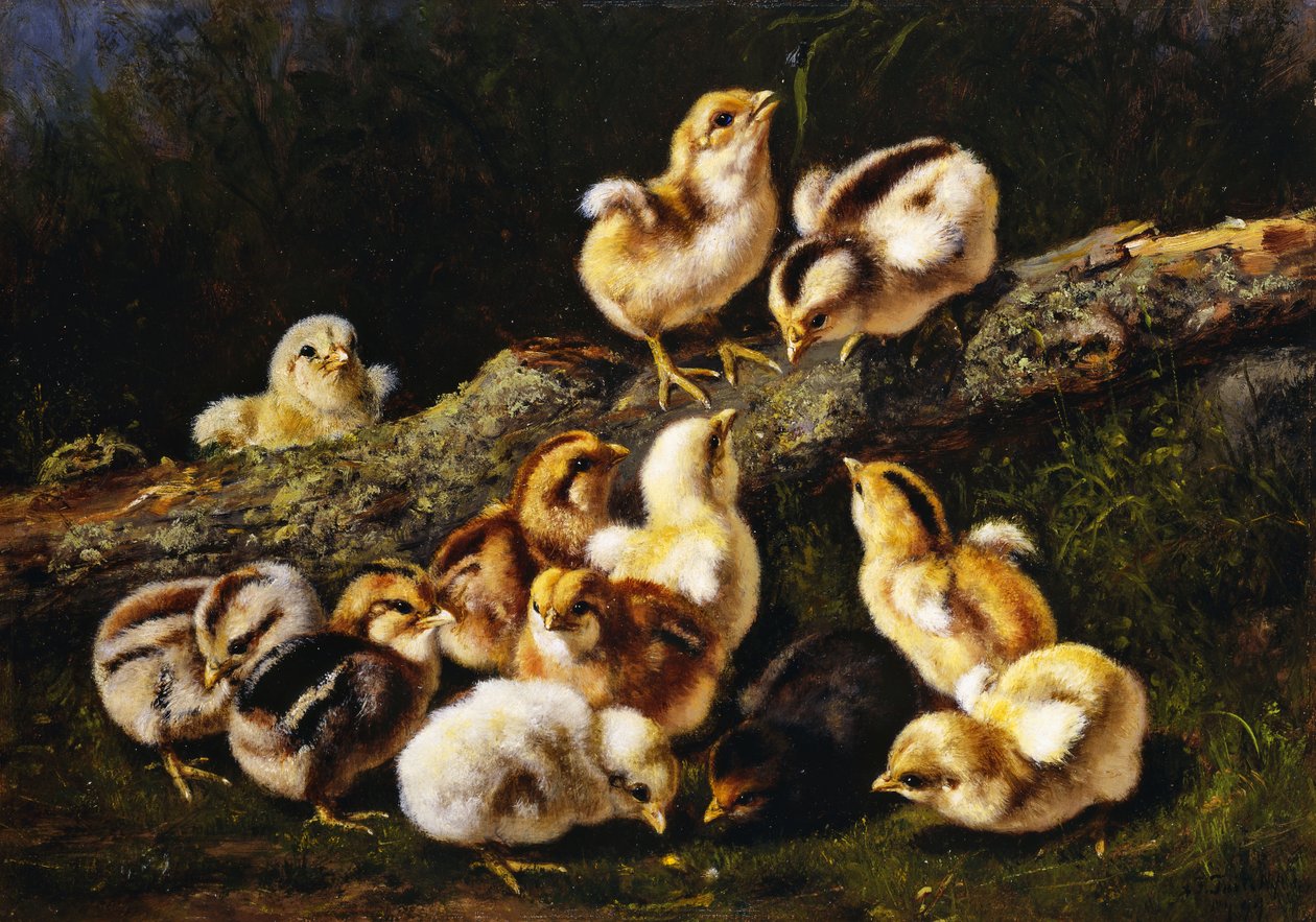 Kleine Haustiere von Arthur Fitzwilliam Tait