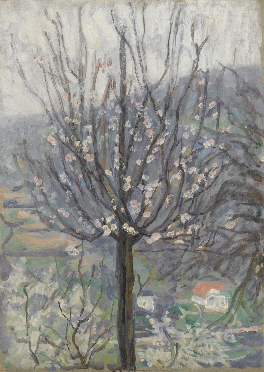 Blüte, früher Morgen von Arthur Haythorne Studd
