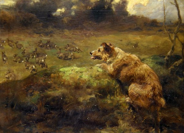 Kaninchenjäger von Arthur John Strutt