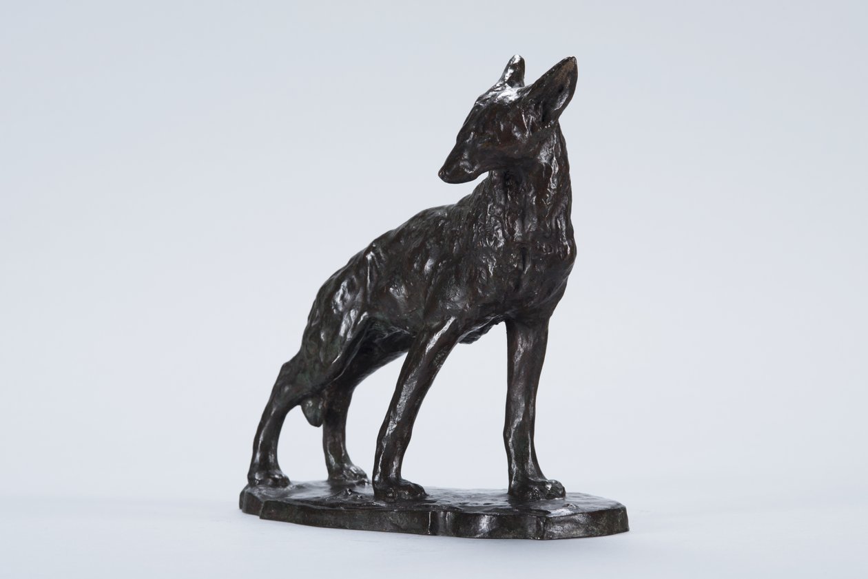 Wachsamer Kojote (Bronze) von Arthur Putnam