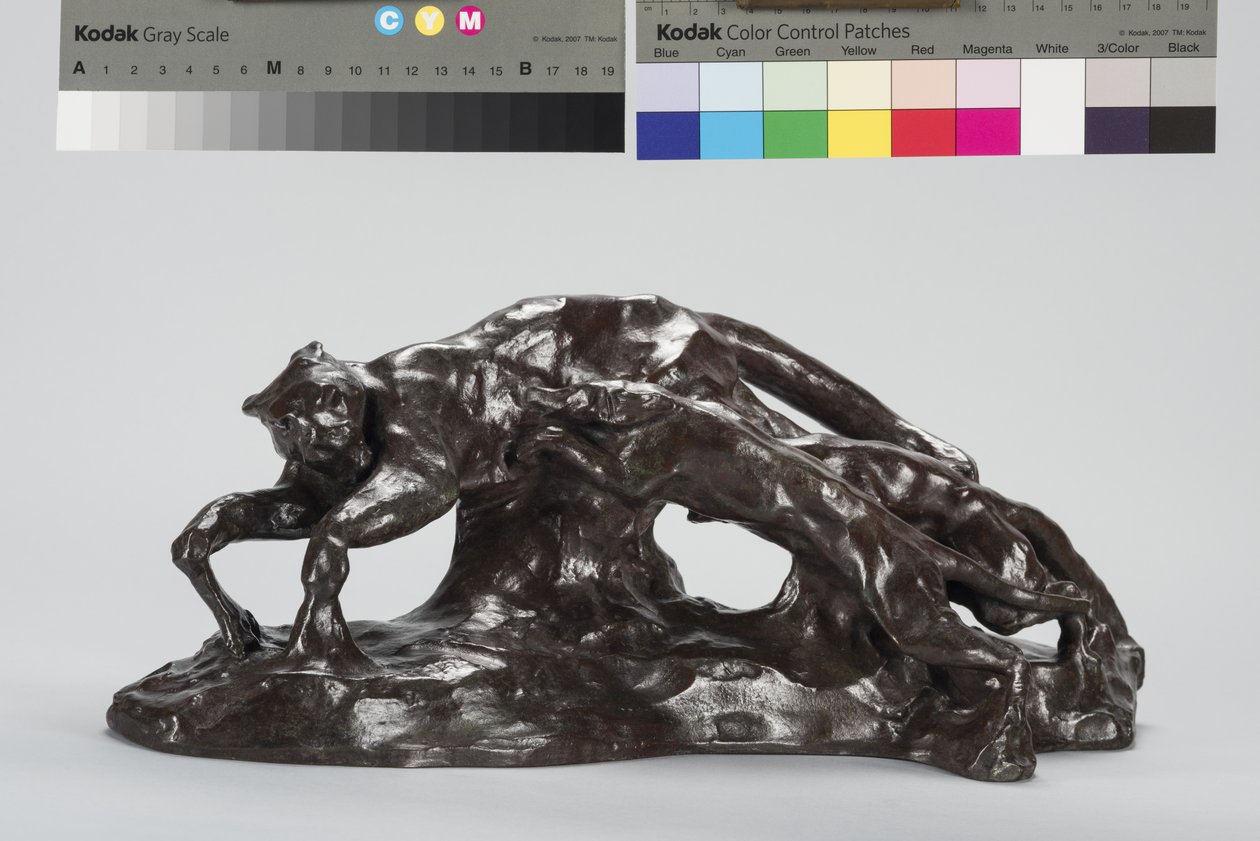 Hunde fangen Puma von Arthur Putnam