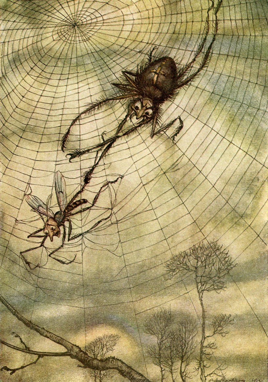 Äsops Fabeln von Arthur Rackham
