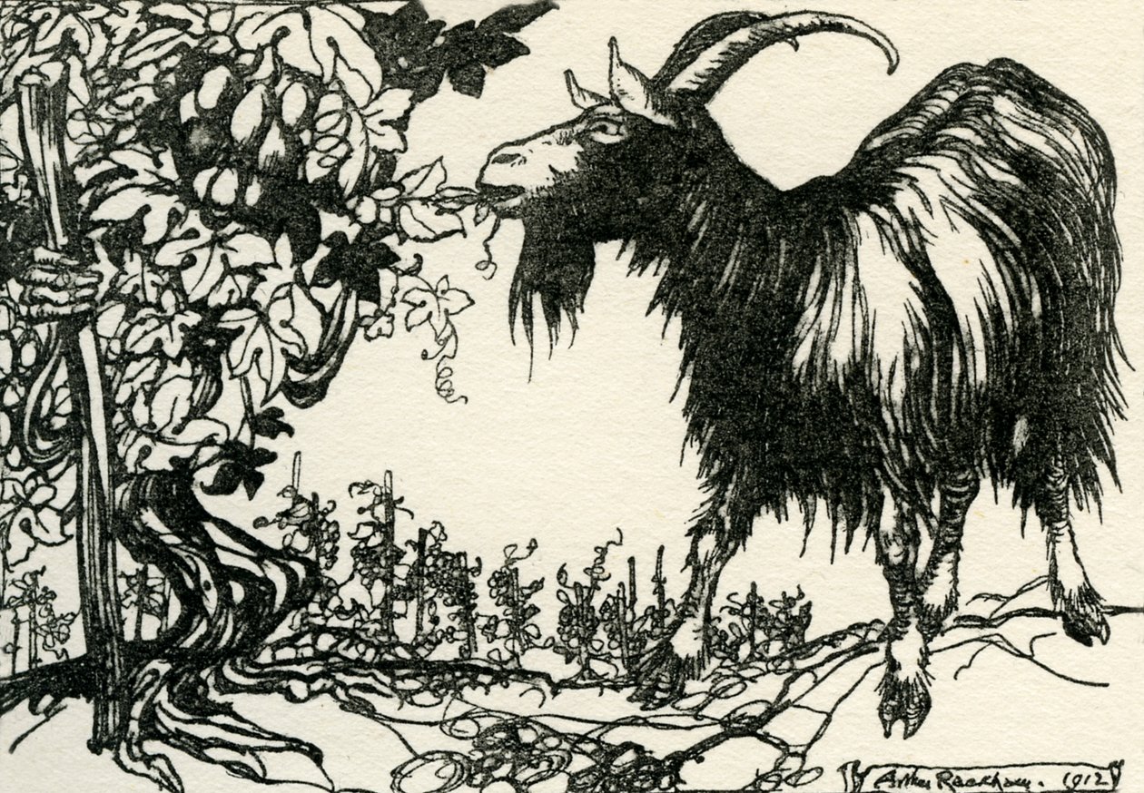 Äsops Fabeln von Arthur Rackham