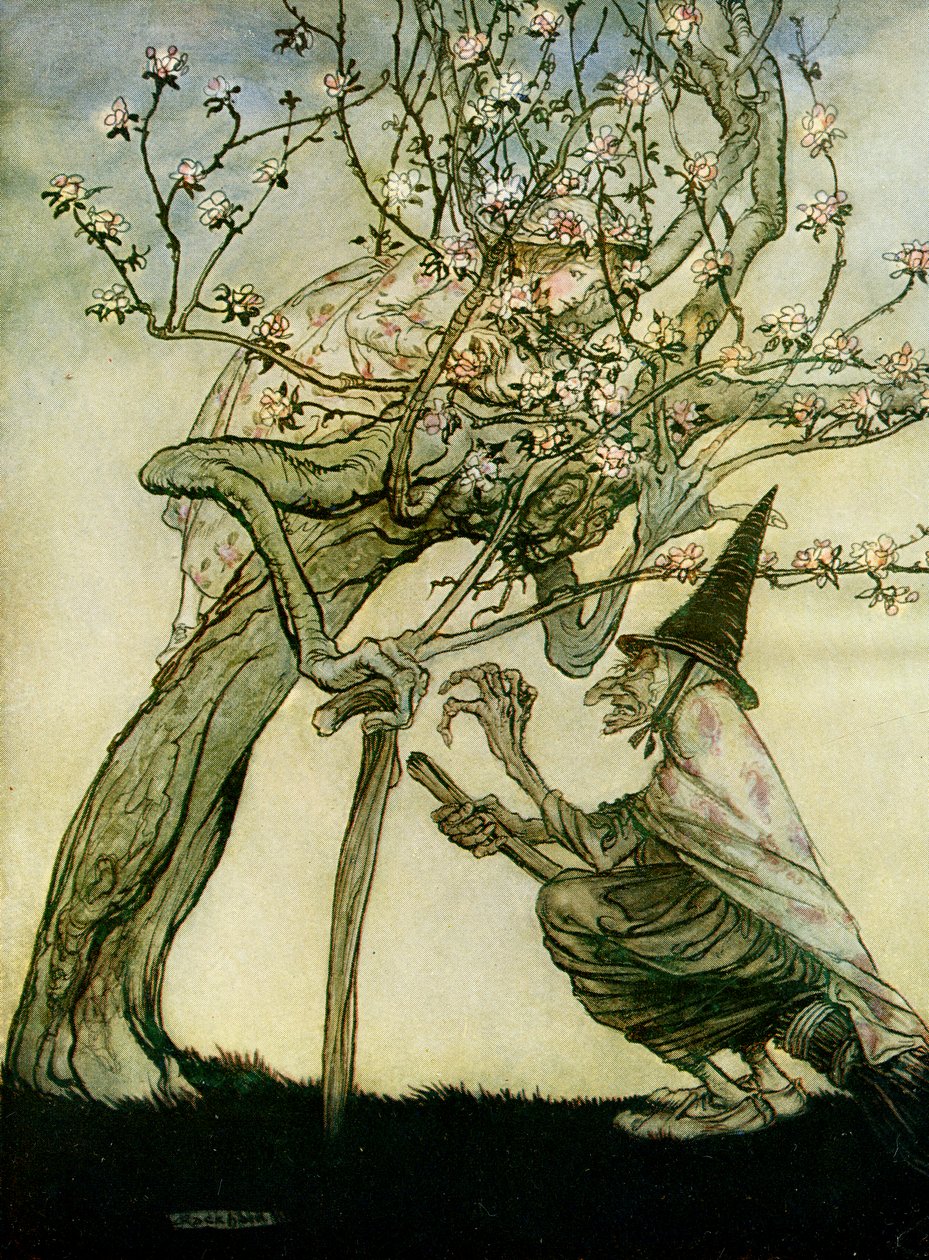Die zwei Schwestern von Arthur Rackham