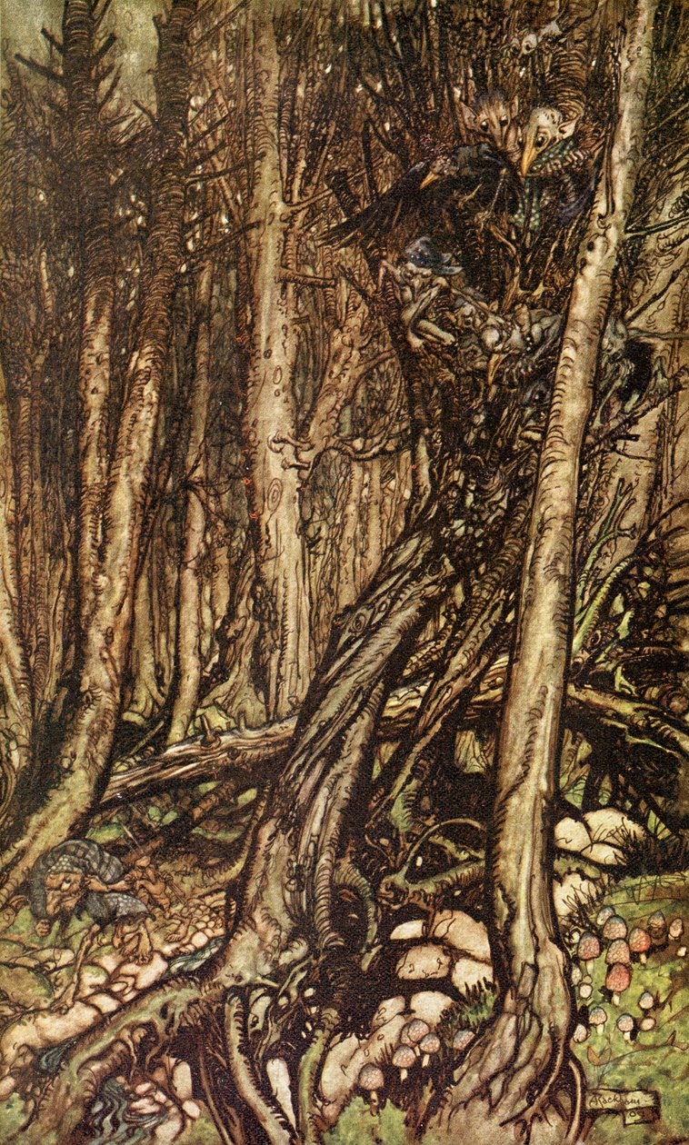 Undine von Arthur Rackham