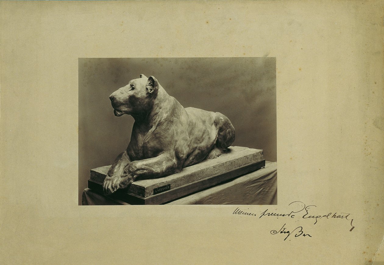 Löwin von Arthur Strasser