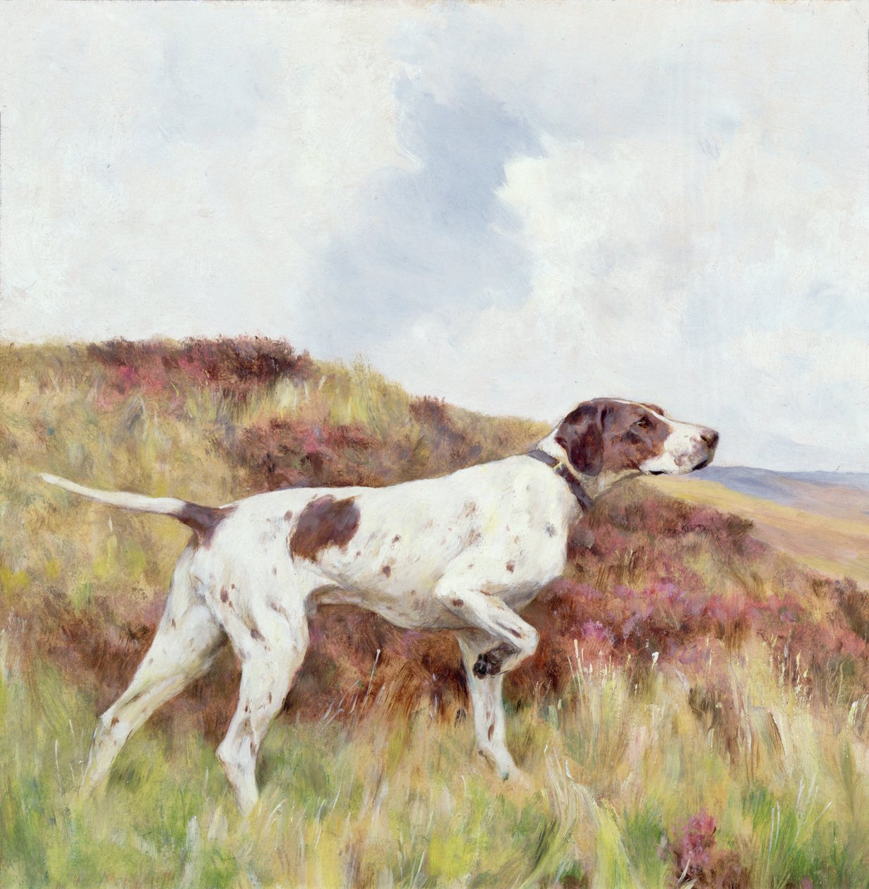 Ein Pointer von Arthur Wardle