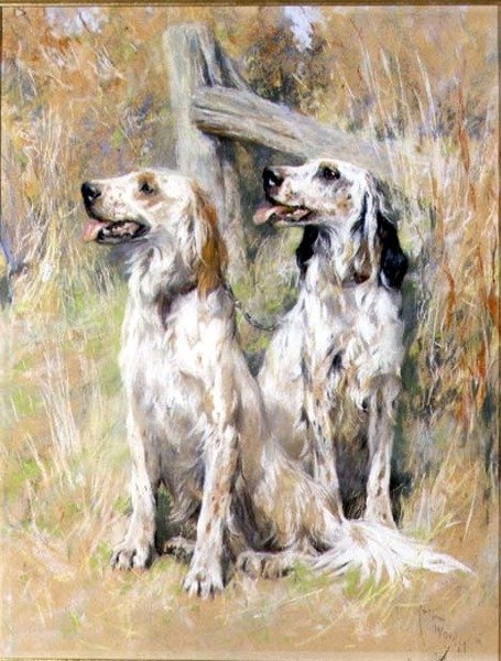 Englische Setter an einem Gatter von Arthur Wardle