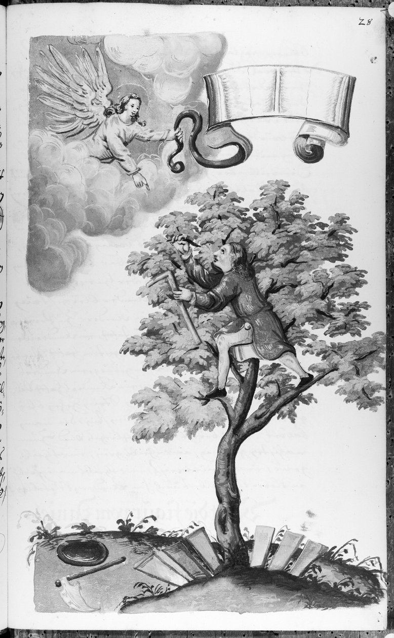 Folio 28 Codex 11134 von Artist Unknown