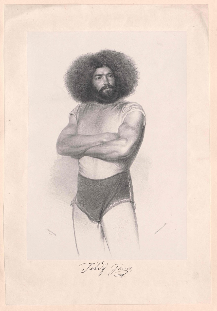 János Toldy von Artist Unknown