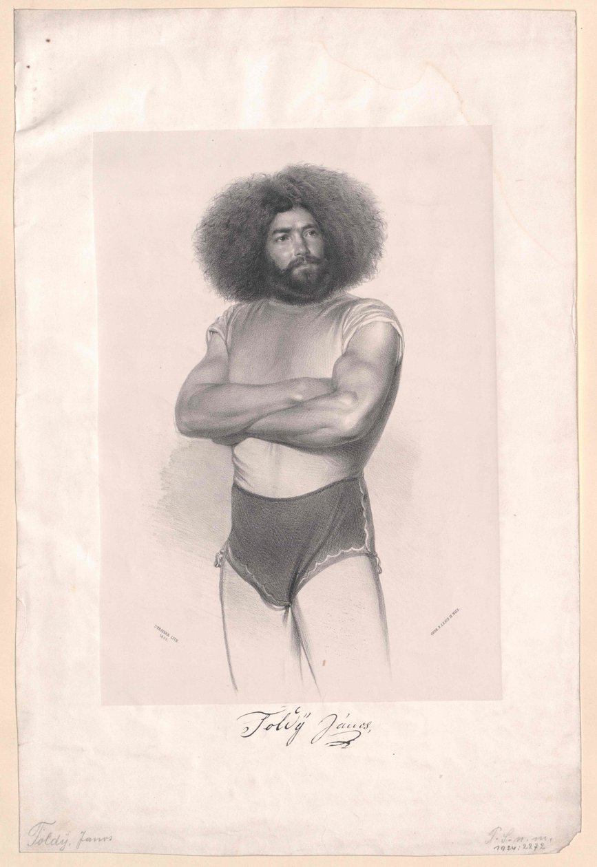 Janos Toldy von Artist Unknown