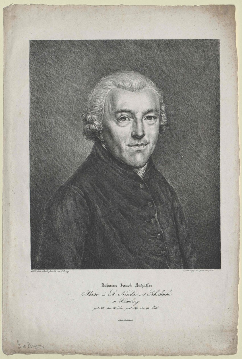 Johann Jakob Schaeffer von Artist Unknown